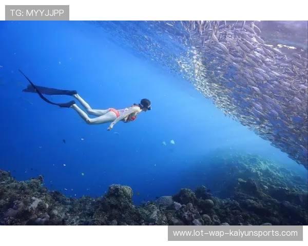 海底潜水深探,探索神秘的海底世界宝藏,我想看海底潜水